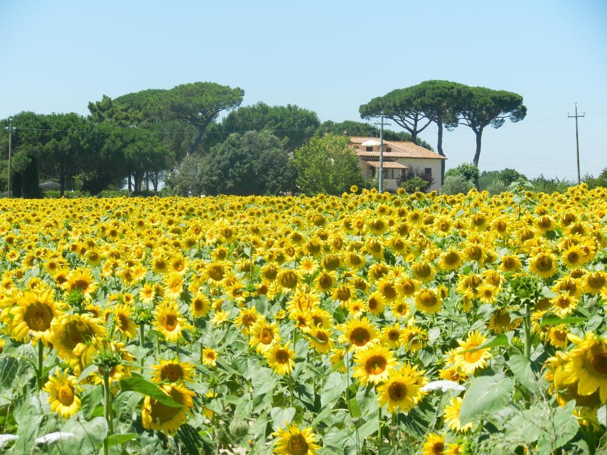 Boschetto Del Lago كاستيغليون ديل لاغو المظهر الخارجي الصورة